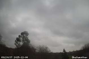 Click to enlarge Web cam